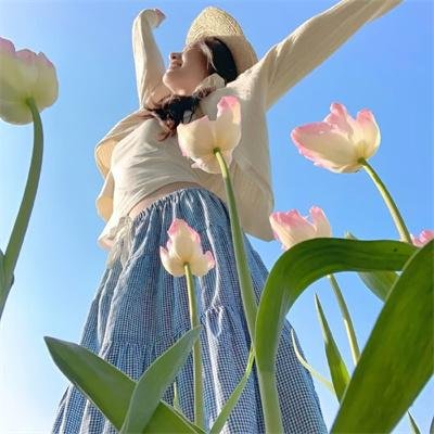 逐浪豪情