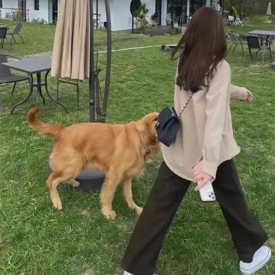 没钥匙的房子